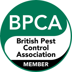 British Pest Control Association member